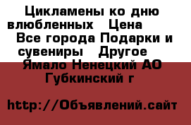 Цикламены ко дню влюбленных › Цена ­ 180 - Все города Подарки и сувениры » Другое   . Ямало-Ненецкий АО,Губкинский г.